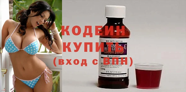 индика Верея
