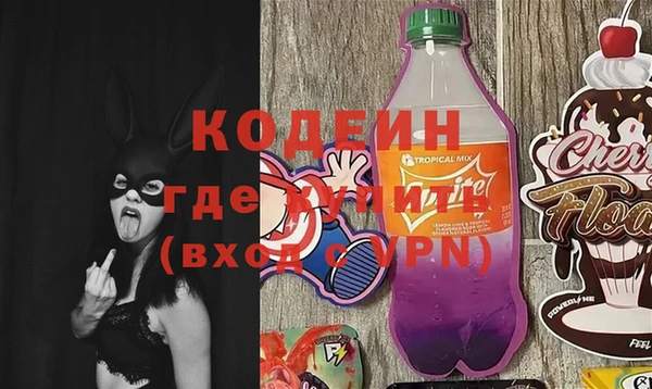 индика Верея
