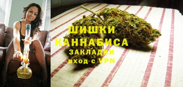 гидра Сосновый Бор