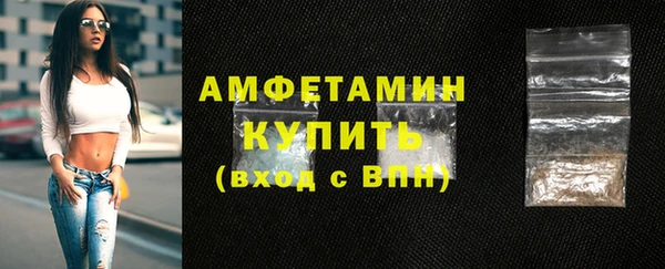 индика Верея