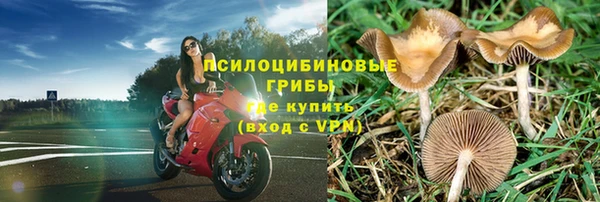 дурь Вяземский
